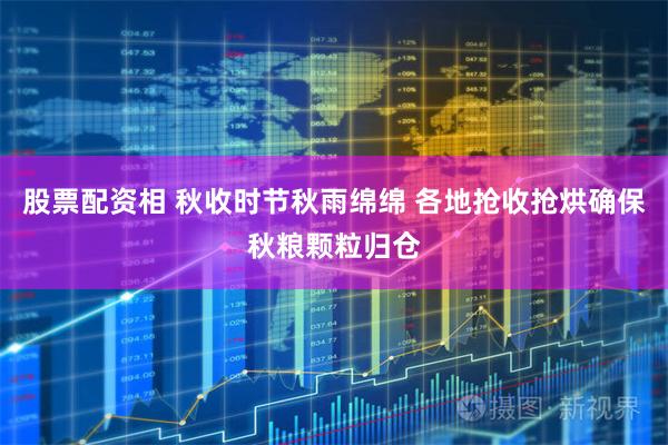 股票配资相 秋收时节秋雨绵绵 各地抢收抢烘确保秋粮颗粒归仓